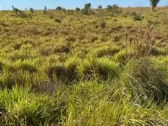 Fazenda para Venda em Conceição do Araguaia - 4