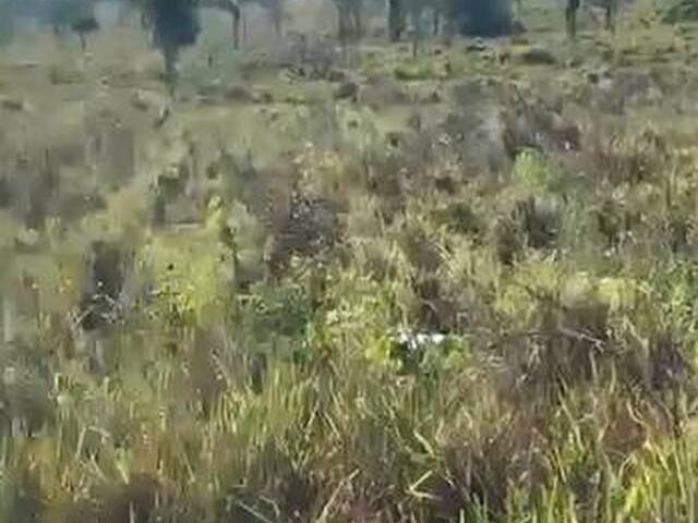 Fazenda para Venda em Conceição do Araguaia - 3