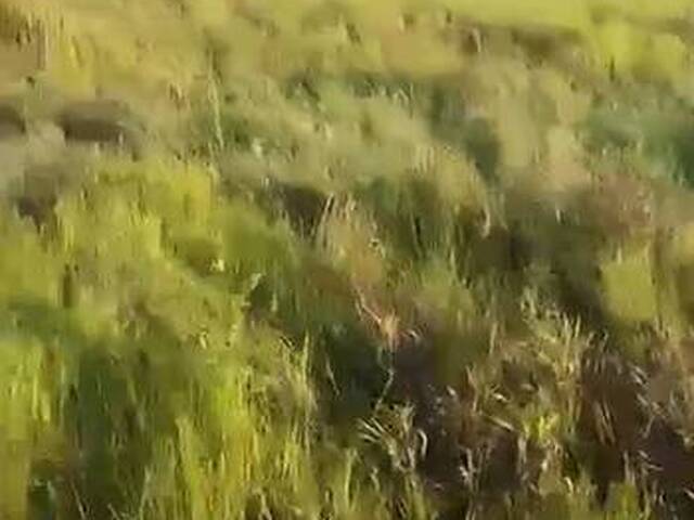 Fazenda para Venda em Conceição do Araguaia - 2