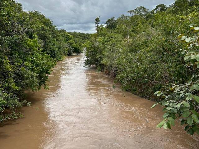 Fazenda para Venda em Camapuã - 5