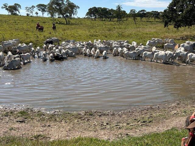 Venda em ZONA RURAL - Camapuã