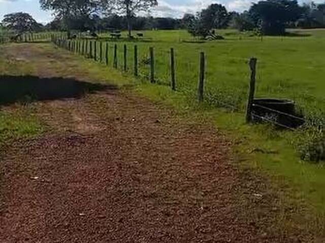 #3344 - Fazenda para Venda em Carolina - MA - 1
