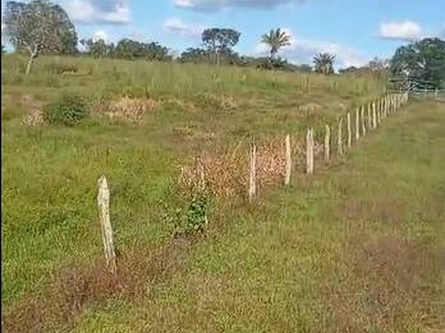 #3344 - Fazenda para Venda em Carolina - MA - 1