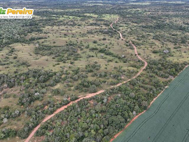 Fazenda para Venda em Dois Irmãos do Tocantins - 2