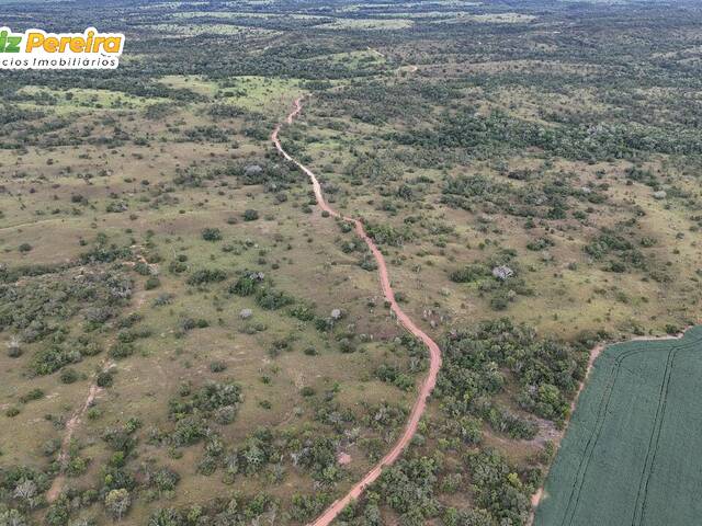 Fazenda para Venda em Dois Irmãos do Tocantins - 3