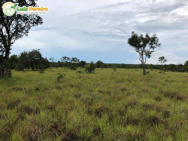 Fazenda para Venda em Dois Irmãos do Tocantins - 5