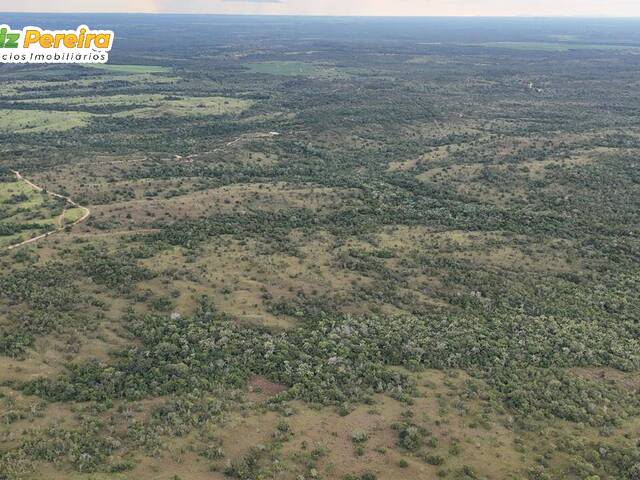 Fazenda para Venda em Dois Irmãos do Tocantins - 4
