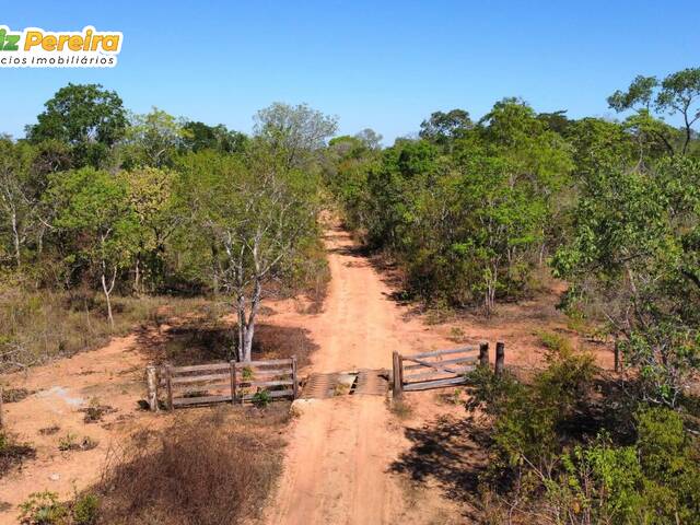 Fazenda para Venda em Paranã - 4