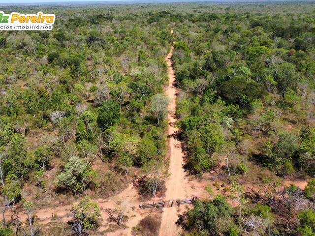 Fazenda para Venda em Paranã - 5