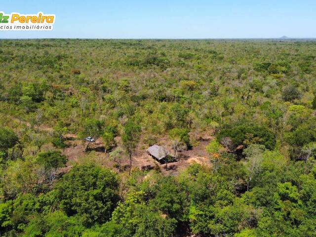 #3346 - Fazenda para Venda em Paranã - TO - 3