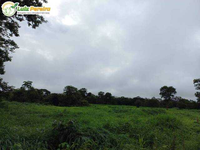 Fazenda para Venda em Natividade - 2