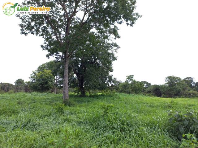 Fazenda para Venda em Natividade - 3