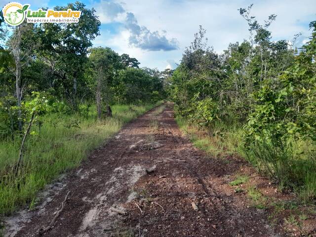 Fazenda para Venda em Paranã - 2
