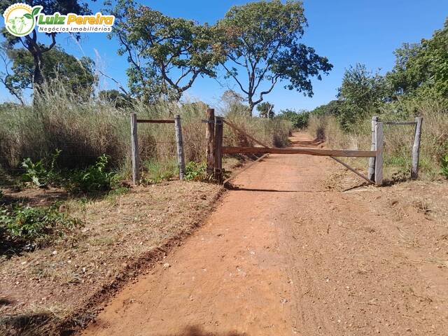 Fazenda para Venda em Paranã - 3
