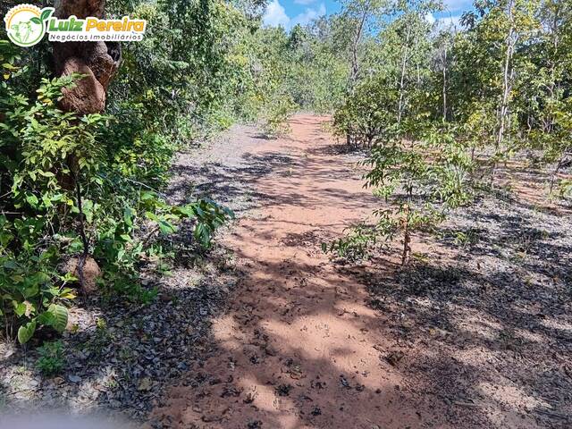 #3349 - Fazenda para Venda em Paranã - TO - 2