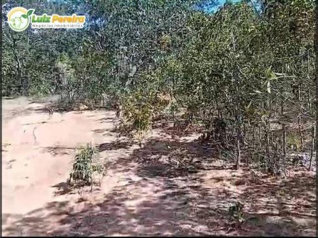 #3349 - Fazenda para Venda em Paranã - TO - 1