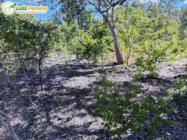 Fazenda para Venda em Paranã - 4