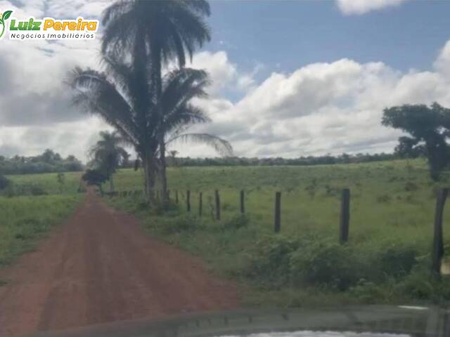 #3350 - Fazenda para Venda em Sucupira do Norte - MA - 3