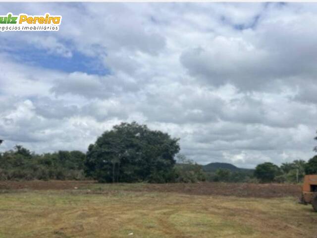 Fazenda para Venda em Sucupira do Norte - 4