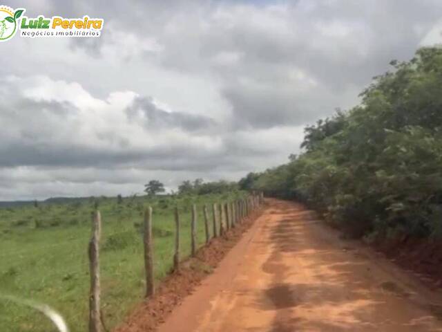Fazenda para Venda em Sucupira do Norte - 5