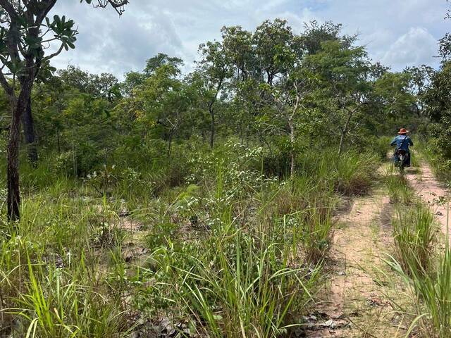 #3342 - Fazenda para Venda em Chapadinha - MA - 3