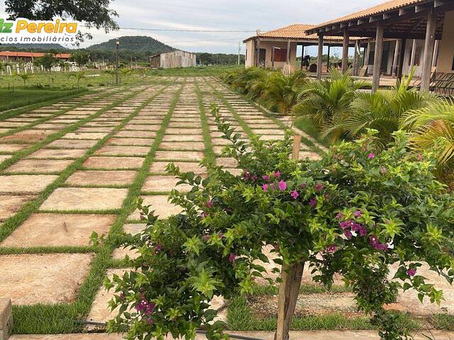 #3351 - Fazenda para Venda em Lagoa do Mato - MA - 3