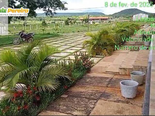 Fazenda para Venda em Lagoa do Mato - 5