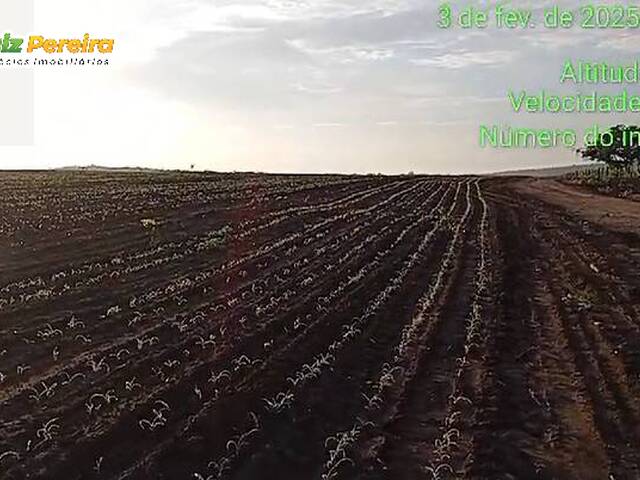 Fazenda para Venda em Lagoa do Mato - 4