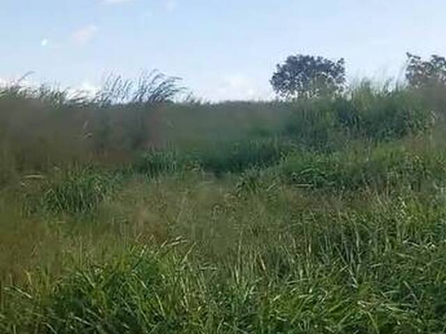#3352 - Fazenda para Venda em Portel - PA - 1