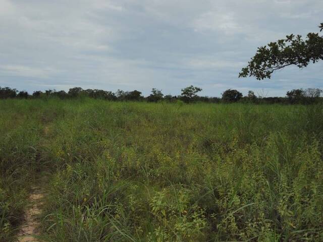 #3353 - Fazenda para Venda em Portel - PA - 2