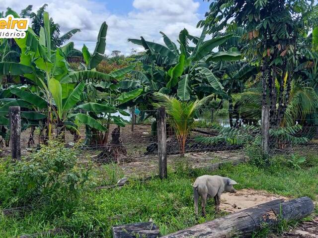 #3354 - Fazenda para Venda em Bagre - PA - 3
