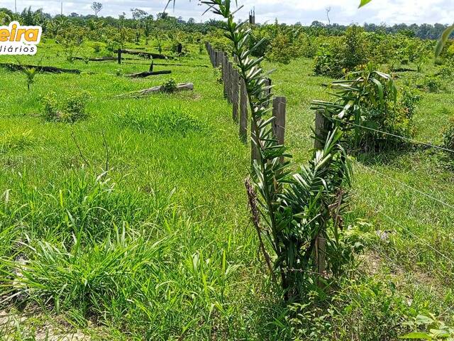 Fazenda para Venda em Bagre - 4