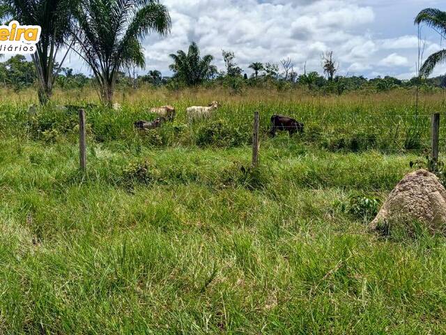 Fazenda para Venda em Bagre - 5