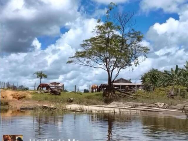 #3354 - Fazenda para Venda em Bagre - PA - 1