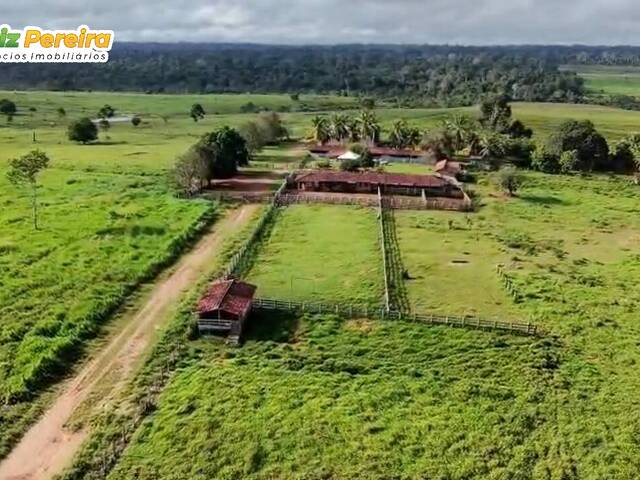 #3355 - Fazenda para Venda em Altamira - PA - 1