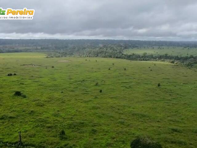 #3355 - Fazenda para Venda em Altamira - PA - 2