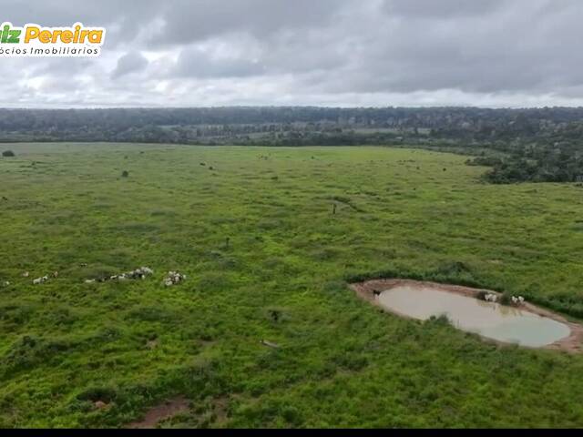 #3355 - Fazenda para Venda em Altamira - PA - 3