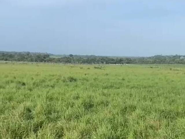 Fazenda para Venda em Altamira - 5