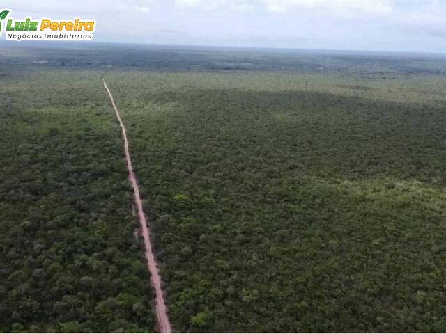 #3356 - Fazenda para Venda em São Bernardo - MA - 1