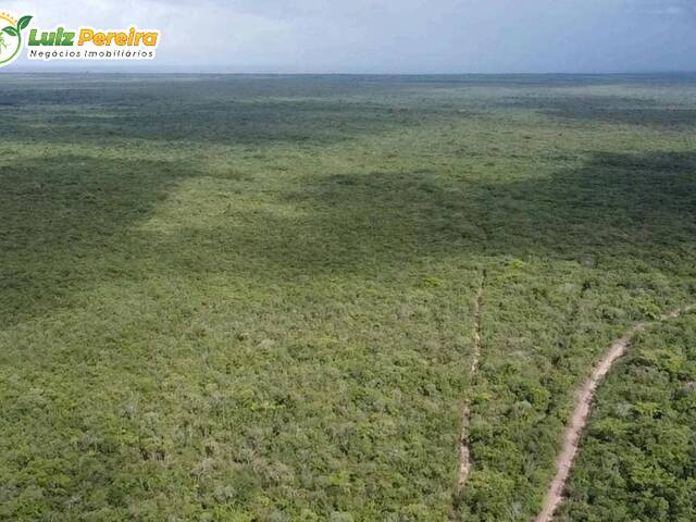 #3356 - Fazenda para Venda em São Bernardo - MA - 3