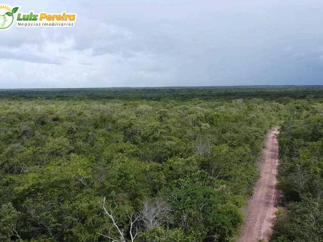 Fazenda para Venda em São Bernardo - 4