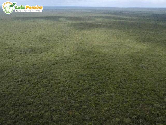 #3356 - Fazenda para Venda em São Bernardo - MA - 2