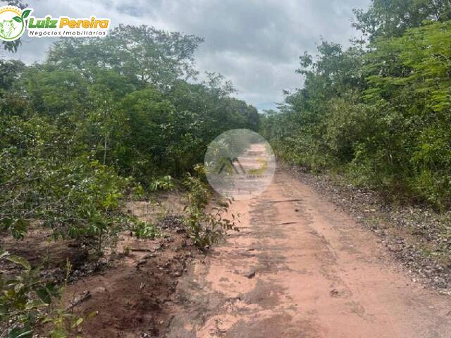 Fazenda para Venda em São Bernardo - 5