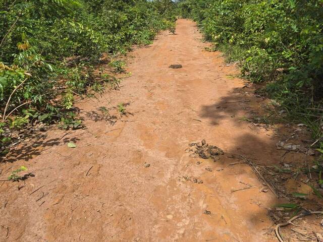 #3357 - Fazenda para Venda em Barra do Corda - MA - 1