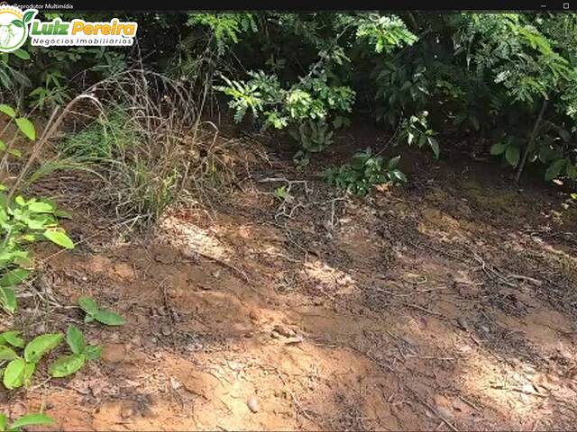 #3357 - Fazenda para Venda em Barra do Corda - MA - 3