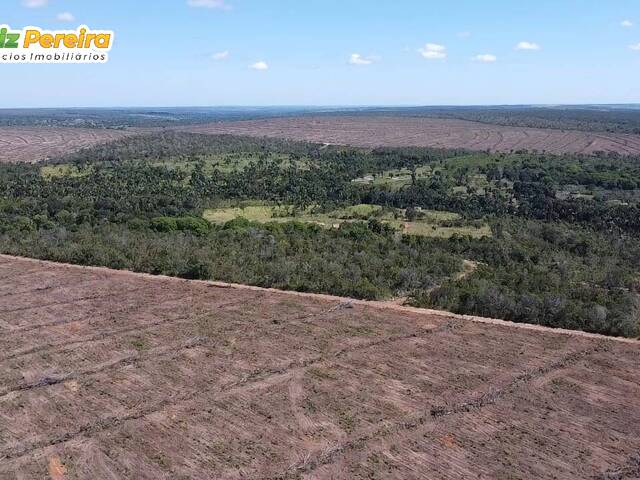 #3358 - Fazenda para Venda em São João do Paraíso - MA - 1