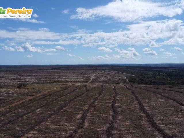 Fazenda para Venda em São João do Paraíso - 4