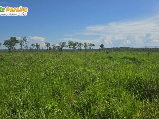 #3359 - Fazenda para Venda em Paranã - TO - 3