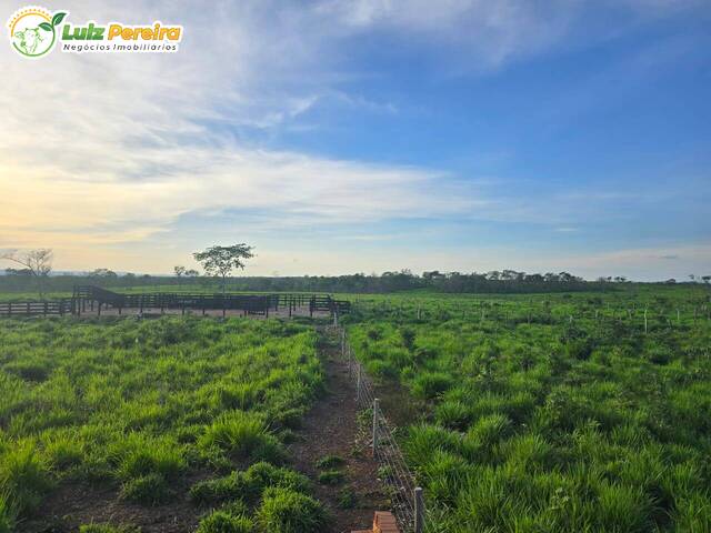 #3359 - Fazenda para Venda em Paranã - TO - 1