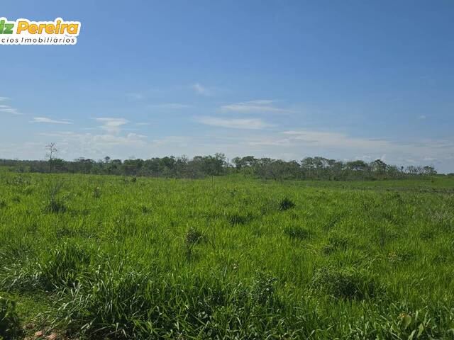 Fazenda para Venda em Paranã - 4